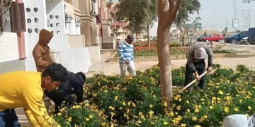 رفع كفاءة المسطحات الخضراء بإسكان الاتحاد التعاوني بالشروق 1 - جريدة المساء