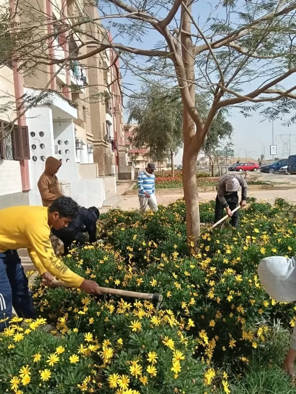 رفع كفاءة المسطحات الخضراء بإسكان الاتحاد التعاوني بالشروق 18 - جريدة المساء