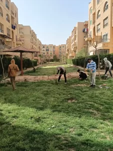 رفع كفاءة المسطحات الخضراء بإسكان الاتحاد التعاوني بالشروق 20 - جريدة المساء