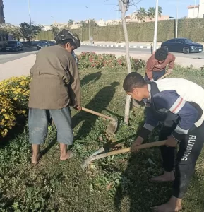 استعدادًا لشم النسيم.. تطوير مكثف وزراعة 30 ألف زهرة لتجميل الشروق 20 - جريدة المساء