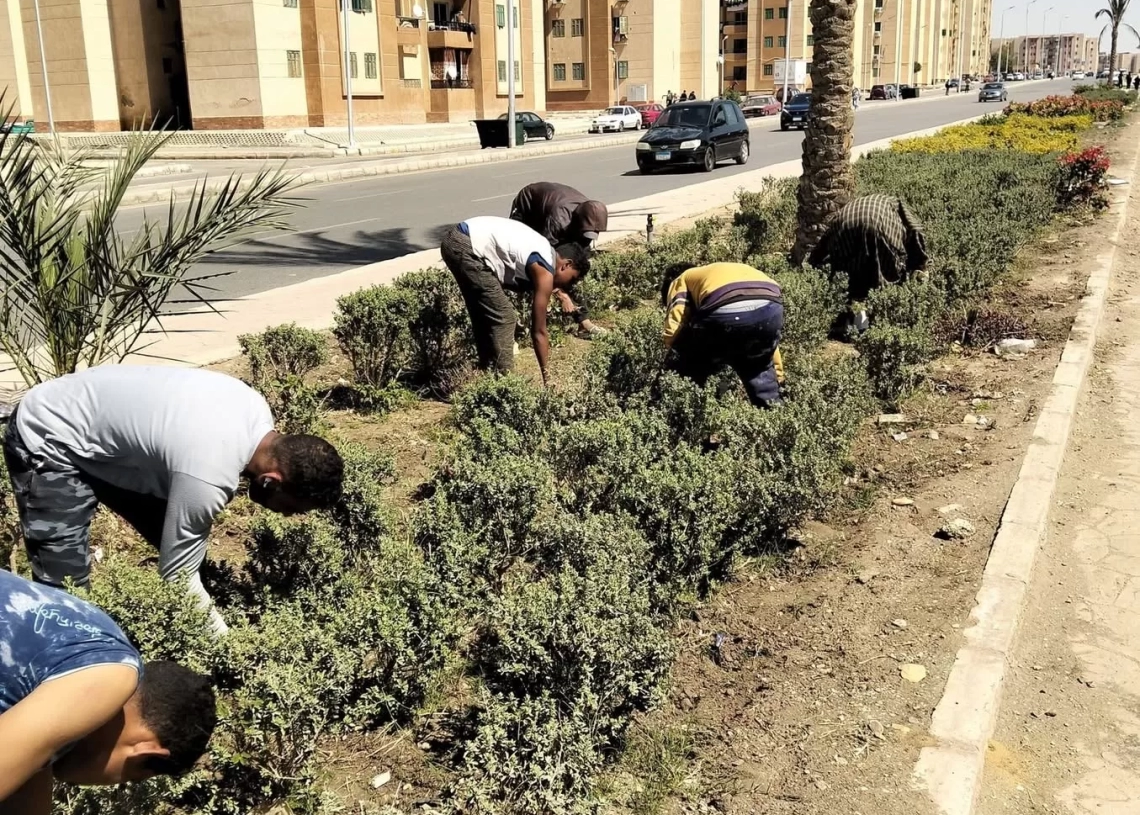 استعدادًا لشم النسيم.. تطوير مكثف وزراعة 30 ألف زهرة لتجميل الشروق 18 - جريدة المساء