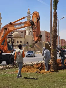 استعدادًا لشم النسيم.. تطوير مكثف وزراعة 30 ألف زهرة لتجميل الشروق 22 - جريدة المساء