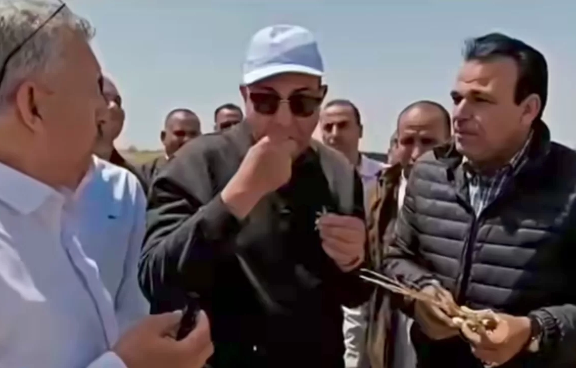محافظ المنيا يتذوق الثوم من قلب الحقل... المزارع «بنوكل بيه العالم» 20 - جريدة المساء محافظ المنيا يتذوق الثوم من قلب الحقل... المزارع «بنوكل بيه العالم» 19 - جريدة المساء