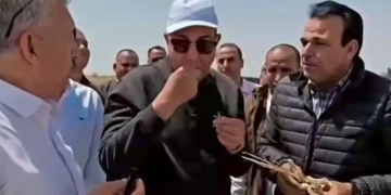 محافظ المنيا يتذوق الثوم من قلب الحقل... المزارع «بنوكل بيه العالم» 2 - جريدة المساء محافظ المنيا يتذوق الثوم من قلب الحقل... المزارع «بنوكل بيه العالم» 1 - جريدة المساء