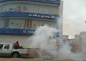 حملات مكافحة الحشرات بالشروق.. رش ضبابي يغطي الأحياء والطرق 29 - جريدة المساء