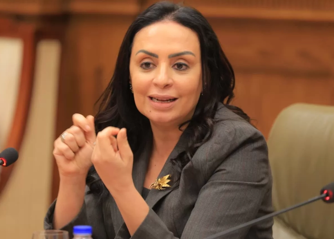 د. مايا مرسى وزيرة التضامن الاجتماعى