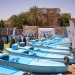 إطلاق مشروعًا تنمويًا متكاملًا لدعم أهالي قرية الكلح بأسوان 9 - جريدة المساء