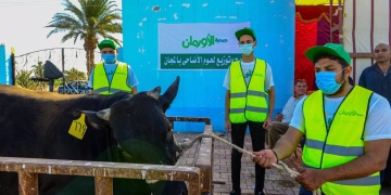 الإستعداد لنحر 50عجل بلدى خلال أيام التشريق فى (3) مجازر بأسوان 1 - جريدة المساء