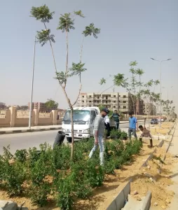 الشروق تتحول لواحة خضراء.. تطوير شامل لقطاع الزراعة ومتابعة مستمرة 24 - جريدة المساء الشروق تتحول لواحة خضراء.. تطوير شامل لقطاع الزراعة ومتابعة مستمرة 23 - جريدة المساء