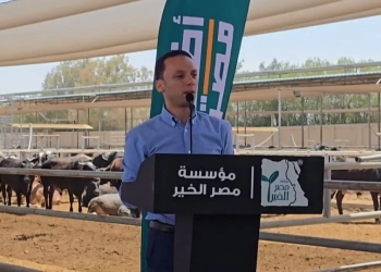 محمود عبد الحكيم