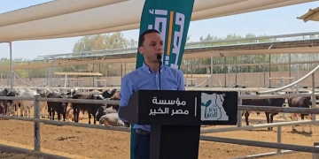 محمود عبد الحكيم