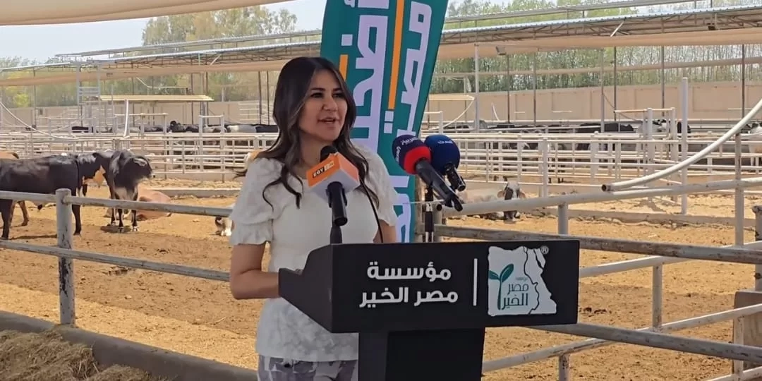 مروة أسامة: لحوم صك الأضحية «بلدية صافية» وتخضع لرقابة بيطرية صارمة 18 - جريدة المساء المهندسة مروة أسامة