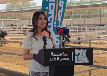 المهندسة مروة أسامة