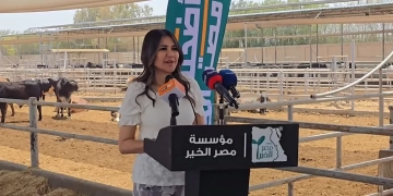 مروة أسامة: لحوم صك الأضحية «بلدية صافية» وتخضع لرقابة بيطرية صارمة 1 - جريدة المساء المهندسة مروة أسامة