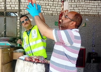حملات مكثفة للطب البيطرى بأسوان على محلات الجزارة والأسواق لضبط جودة اللحوم إستعداداً لعيد الأضحى المبارك 18 - جريدة المساء