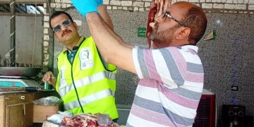 حملات مكثفة للطب البيطرى بأسوان على محلات الجزارة والأسواق لضبط جودة اللحوم إستعداداً لعيد الأضحى المبارك 1 - جريدة المساء