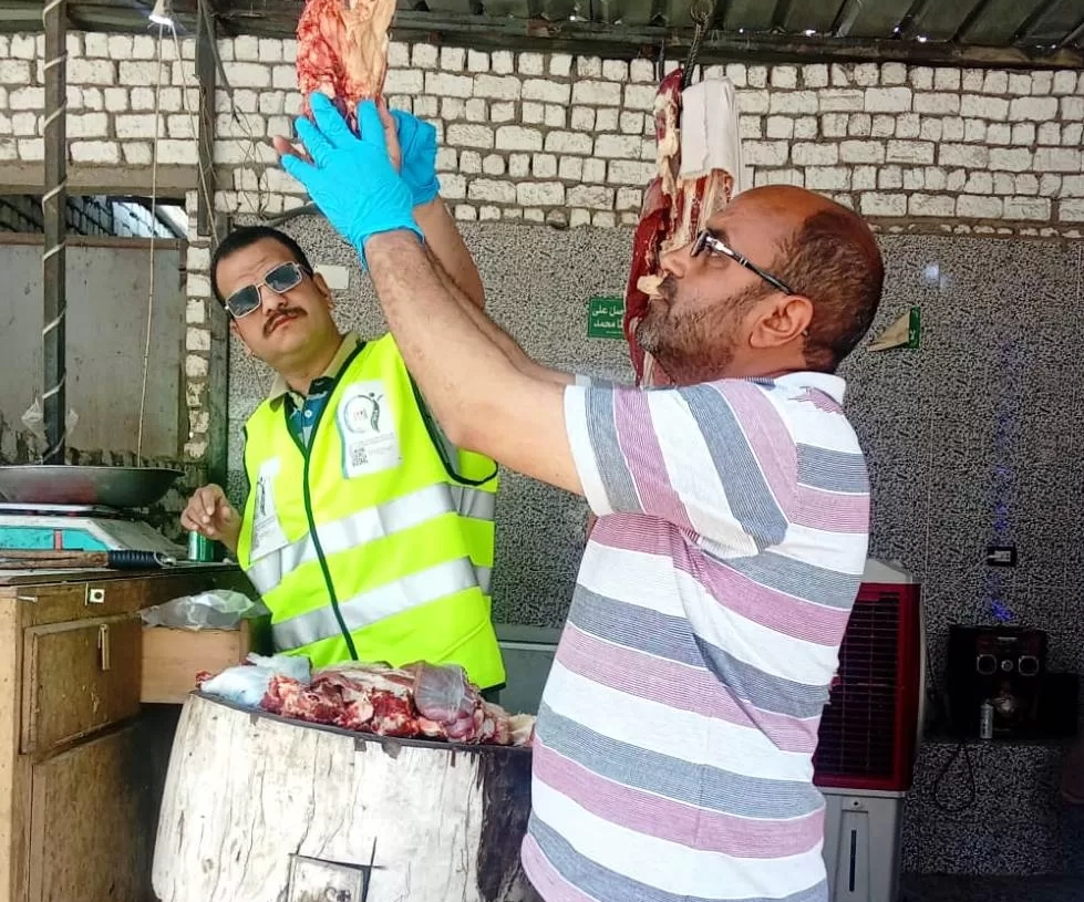 حملات مكثفة للطب البيطرى بأسوان على محلات الجزارة والأسواق لضبط جودة اللحوم إستعداداً لعيد الأضحى المبارك 19 - جريدة المساء