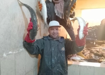 مزرعه برسيق تضخ ٦٨ طنًا من الأسماك ضمن خطة زيادة الإنتاج 29 - جريدة المساء