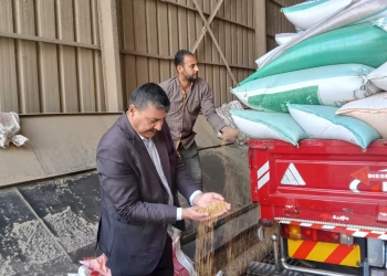توريد 24 ألف طن قمح بالمنوفية 13 - جريدة المساء