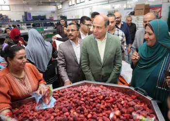 محافظ المنيا يشيد بمحطة البيهو لتعبئة الفاكهة 29 - جريدة المساء