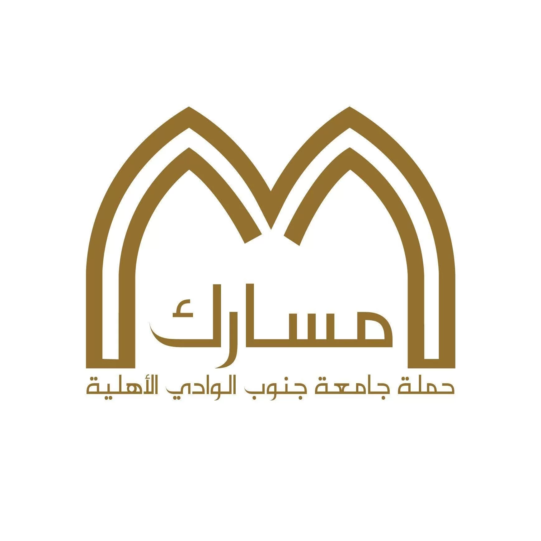 طلاب إعلام قنا يطلقون حملة «مسارك» للتعريف بجامعة جنوب الوادي الأهلية 23 - جريدة المساء