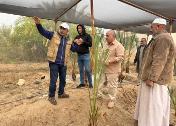 بحوث الصحراء يواصل متابعة الأنشطة الإرشادية والخدمية بمحطاته البحثية بسيوة والوادي الجديد 15 - جريدة المساء