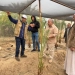 بحوث الصحراء يواصل متابعة الأنشطة الإرشادية والخدمية بمحطاته البحثية بسيوة والوادي الجديد 15 - جريدة المساء