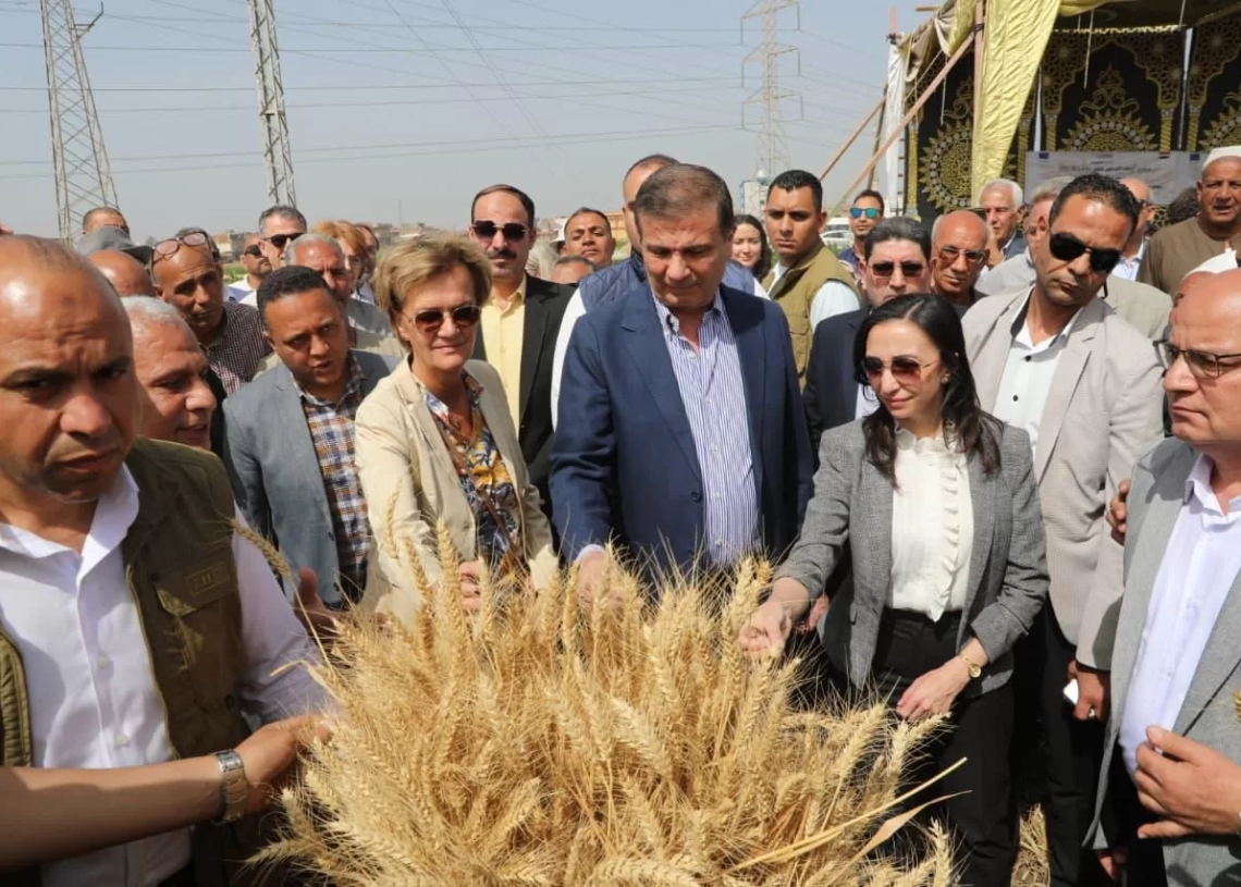 وزير الزراعة ومحافظ البحيرة يشهدان احتفالية ميكنة حصاد القمح بالمحافظة بحضور سفير الاتحاد الاوروبي 20 - جريدة المساء وزير الزراعة ومحافظ البحيرة يشهدان احتفالية ميكنة حصاد القمح بالمحافظة بحضور سفير الاتحاد الاوروبي 19 - جريدة المساء