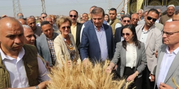 وزير الزراعة ومحافظ البحيرة يشهدان احتفالية ميكنة حصاد القمح بالمحافظة بحضور سفير الاتحاد الاوروبي 2 - جريدة المساء وزير الزراعة ومحافظ البحيرة يشهدان احتفالية ميكنة حصاد القمح بالمحافظة بحضور سفير الاتحاد الاوروبي 1 - جريدة المساء