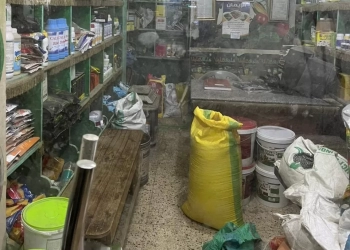 "الزراعة" تضبط كميات من تقاوي السورجم المقلدة بالفيوم 19 - جريدة المساء