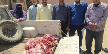 ضبط 2 طن لحوم و دواجن و أسماك فاسدة بالمنوفية 1 - جريدة المساء