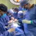 مستشفى كفر الشيخ الجامعي نجح في إجراء عدد من الجراحات الدقيقة والمتقدمة بالشرايين السباتية 15 - جريدة المساء