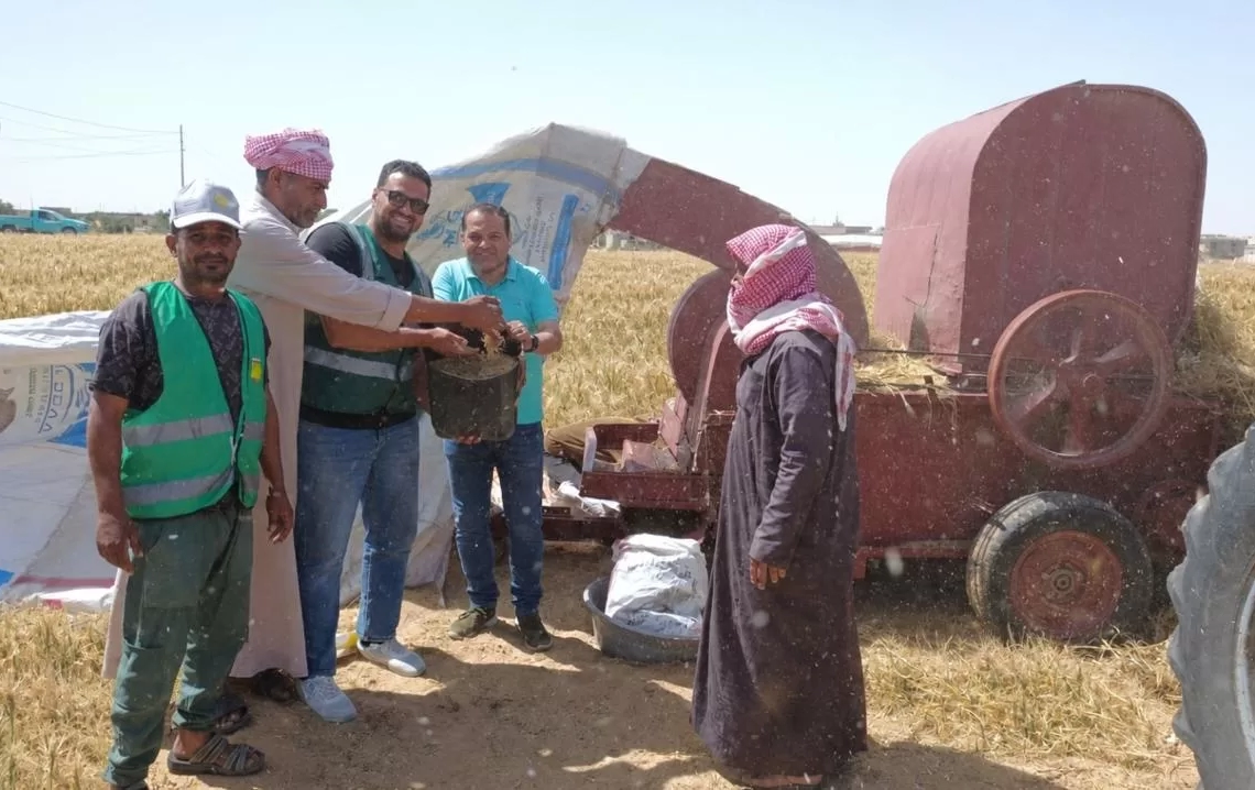 الزراعة" تعلن قفزة في توريد القمح المحلي: الوصول إلى أكثر من 3.2 مليون طن حتى الآن 18 - جريدة المساء