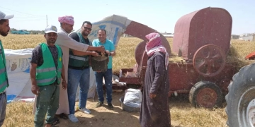 الزراعة" تعلن قفزة في توريد القمح المحلي: الوصول إلى أكثر من 3.2 مليون طن حتى الآن 1 - جريدة المساء