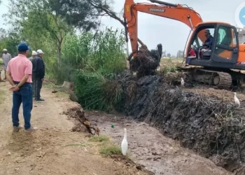 نشاط مكثف للجان متابعة مديرية الزراعة بكفرالشيخ لضبط منظومة الأسمدة ومتابعة المحاصيل الصيفية 29 - جريدة المساء
