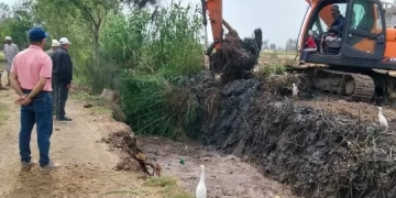 نشاط مكثف للجان متابعة مديرية الزراعة بكفرالشيخ لضبط منظومة الأسمدة ومتابعة المحاصيل الصيفية 1 - جريدة المساء