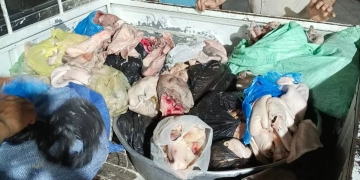 ضبط نصف طن لحوم فاسدة بالمنوفية 1 - جريدة المساء