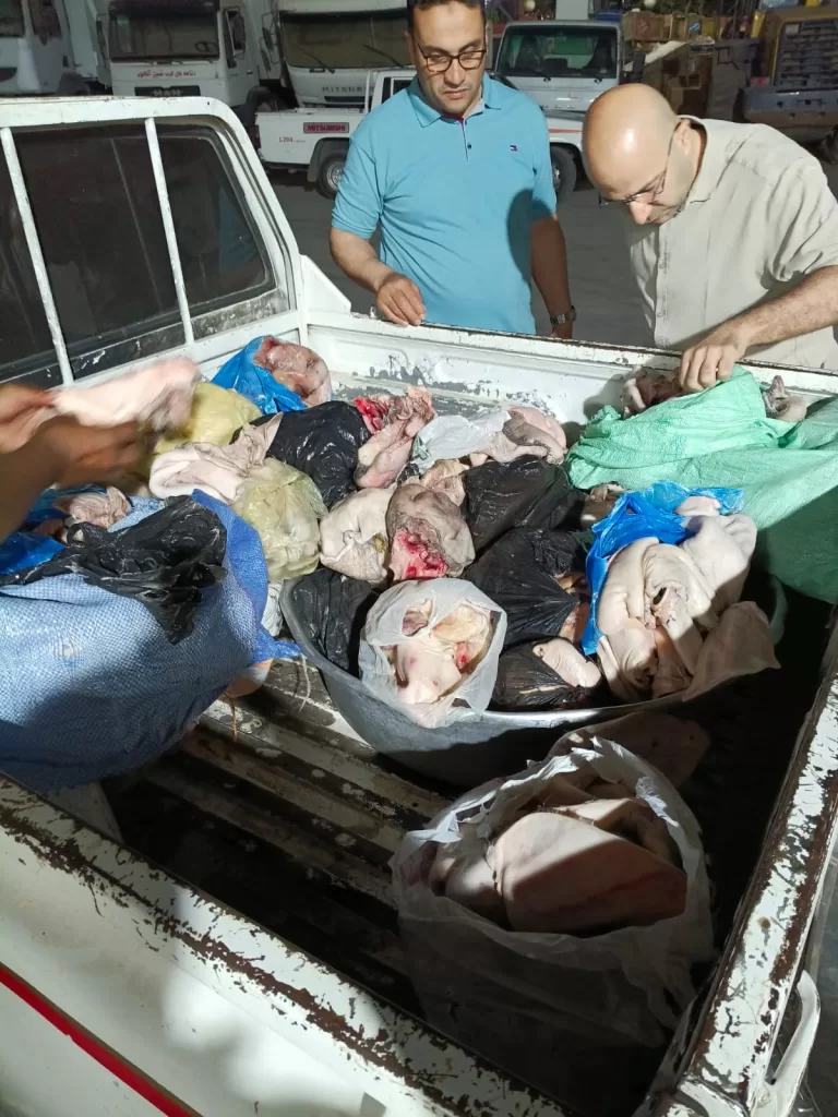 ضبط لحوم فاسدة بالمنوفية 19 - جريدة المساء