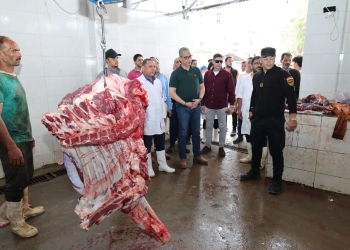 محافظ الجيزة يتفقد مجزرى المنيب والوراق للتأكد من جاهزيتهما.. ويحذر من العقوبة 27 - جريدة المساء