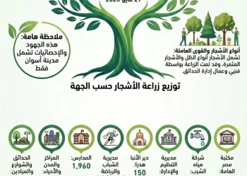 أسوان تتوسع فى المساحات الخضراء بزراعة أكثر من 10 آلاف شجرة بمختلف مدن المحافظة دعماً للتحول الأخضر 27 - جريدة المساء