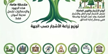 أسوان تتوسع فى المساحات الخضراء بزراعة أكثر من 10 آلاف شجرة بمختلف مدن المحافظة دعماً للتحول الأخضر 1 - جريدة المساء