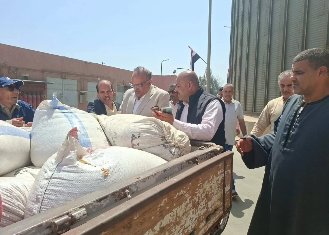 توريد 140 ألف طن قمح بالمنوفية 19 - جريدة المساء