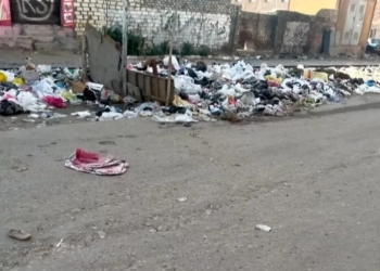 صورة مهداة لمحافظ القليوبية 17 - جريدة المساء