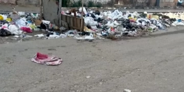 صورة مهداة لمحافظ القليوبية 1 - جريدة المساء