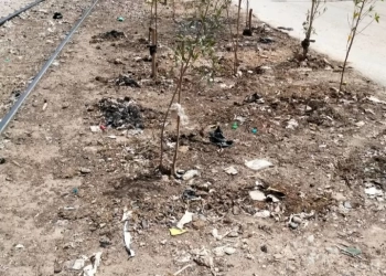 شكراً لـ « المساء » 24 - جريدة المساء