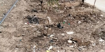 شكراً لـ « المساء » 1 - جريدة المساء