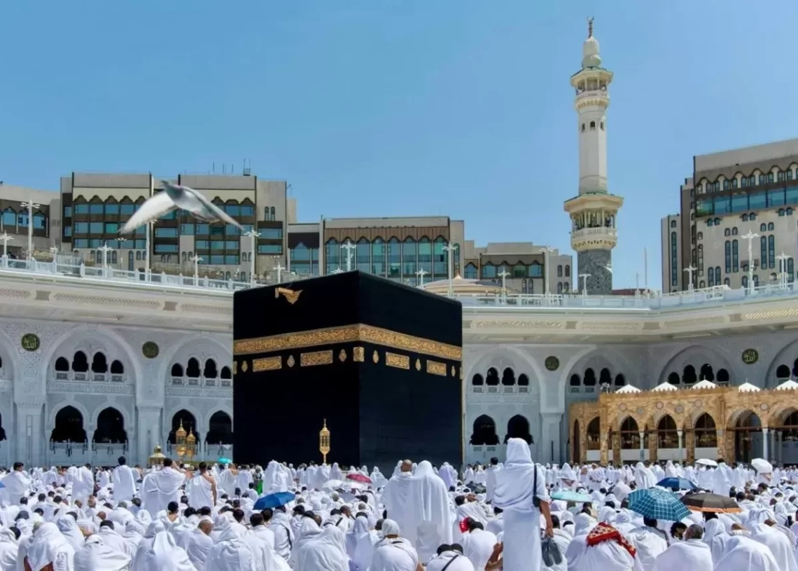 "لبيك يا ربَّ الحجيج".. أحدث إبداعات أحمد بيضون 15 - جريدة المساء