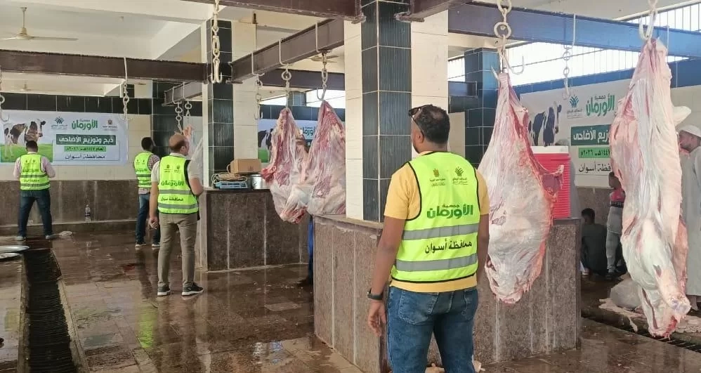 ملحمة تكافلية في أسوان.. استمرار نحر الأضاحي وتوصيل اللحوم للمستحقين في منازلهم 19 - جريدة المساء