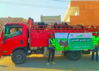 غدًا عقب صلاة العيد.. ذبح 50 عجلاً بمجزر سوهاج العمومى بمحافظة سوهاج 19 - جريدة المساء