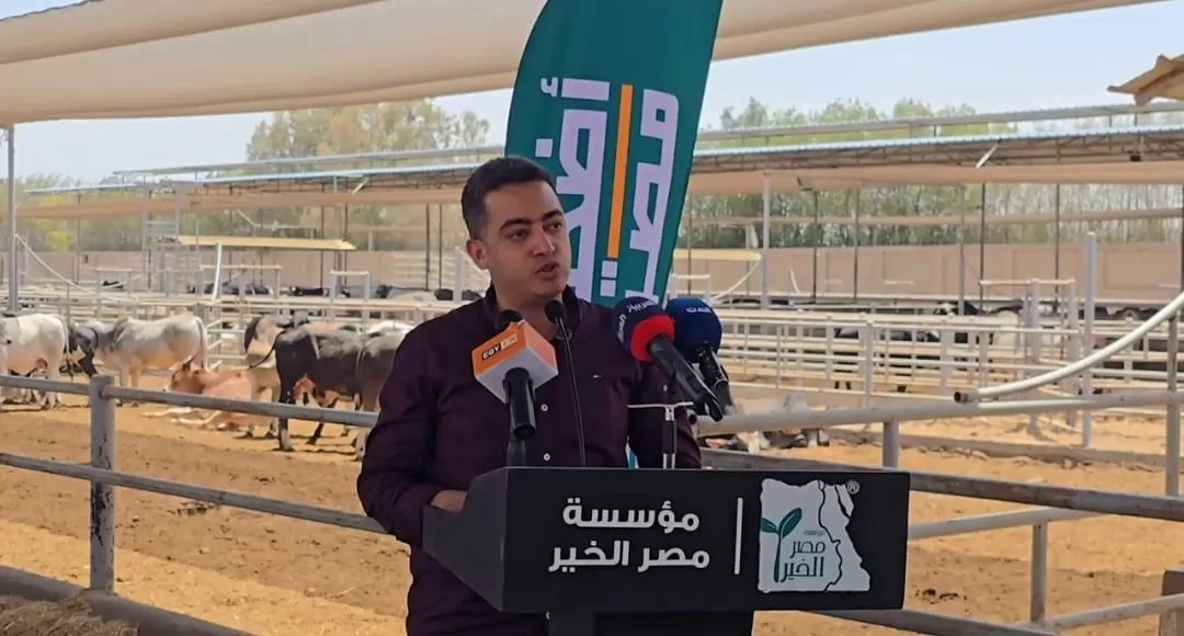 د. أحمد على: صك الأضحية مشروع تنموي يوفر آلاف فرص العمل للشباب 19 - جريدة المساء